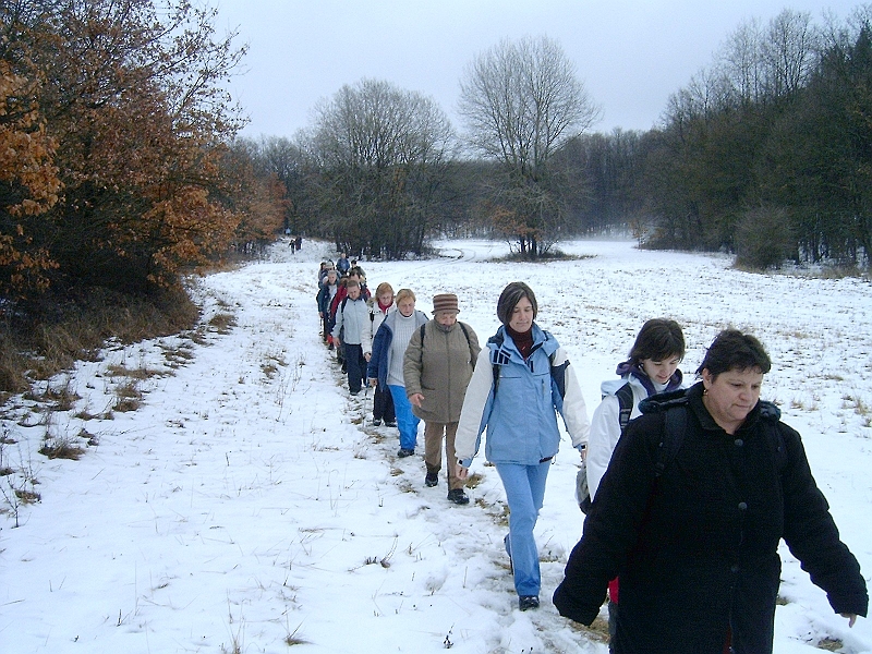 20100220 037.jpg